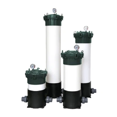 דיור מסנן UPVC 5 × 10 ''